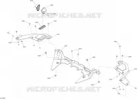 Embellecedor del guardabarros trasero
