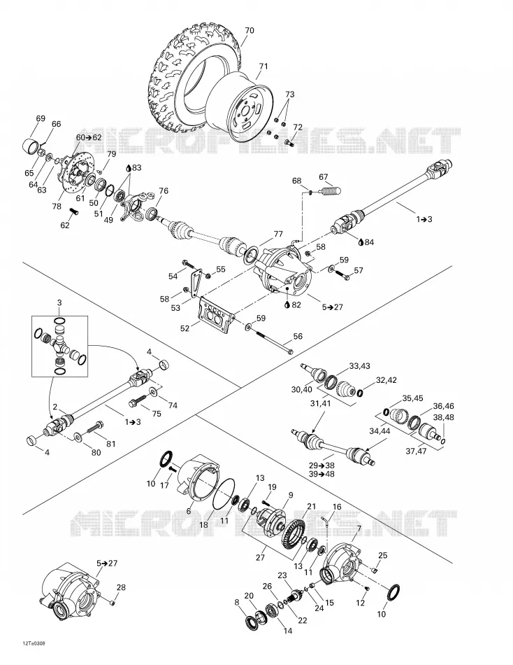 TREN DELANTERO
