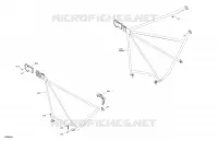 07- BODY - SAFETY NET