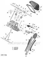 Culata trasera