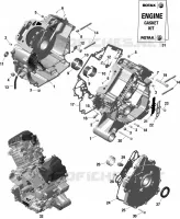 01- ROTAX - CARTER