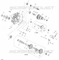 SELECTOR CAMBIO
