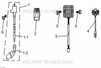 Luces traseras y Componentes eléctricos
