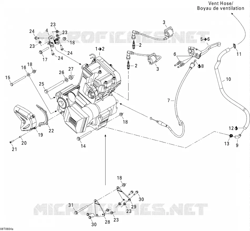 Motor