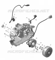 01- ROTAX - MAGNETO AND ARNÉS ELÉCTRICO STARTER