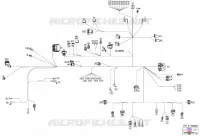 08- ARNÉS ELÉCTRICO - MAIN HARNESS - 710008896