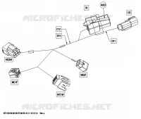 ARNÉS ELÉCTRICO, PARTE DELANTERA