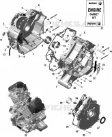 Motor - CARTERES CIGÜEÑAL