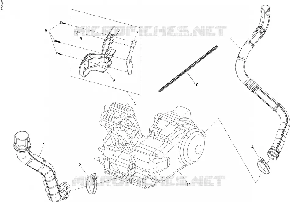 Motor
