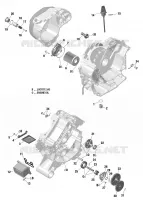Lubricación del motor