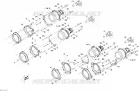Faros