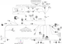 08- ARNÉS ELÉCTRICO - MAIN HARNESS - 710008774
