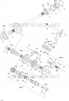 SELECTOR CAMBIO