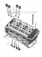 CULATA