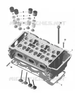 CULATA