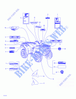 Calcomanías para Can-Am TRAXTER AUTOSHIFT 2001